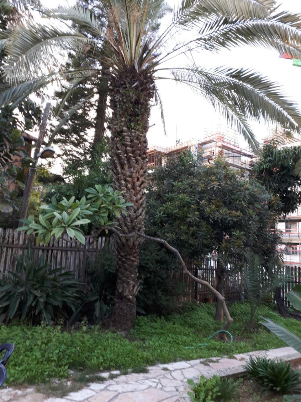 Etty'S House Hotel Petach Tikva Ngoại thất bức ảnh