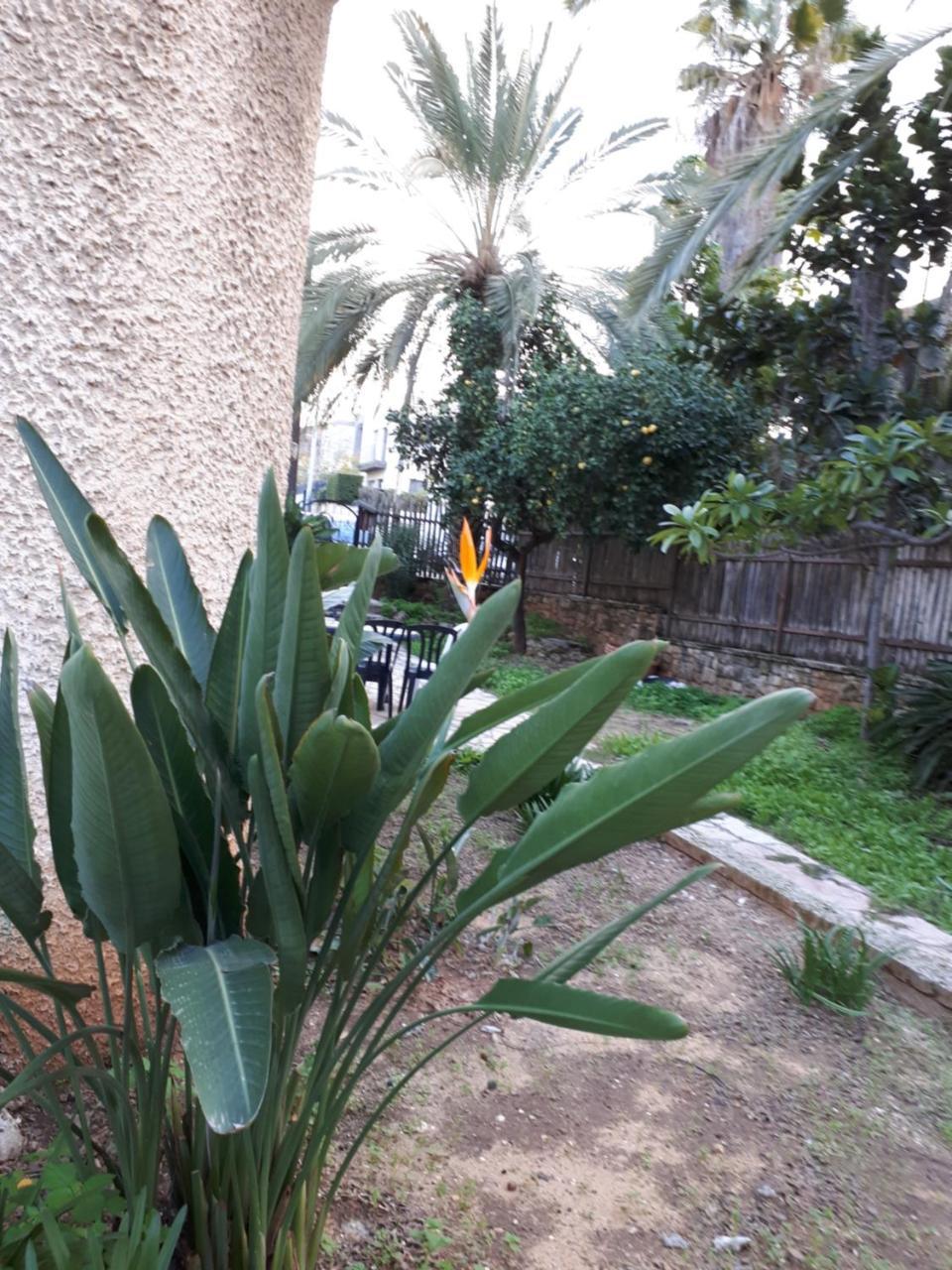 Etty'S House Hotel Petach Tikva Ngoại thất bức ảnh